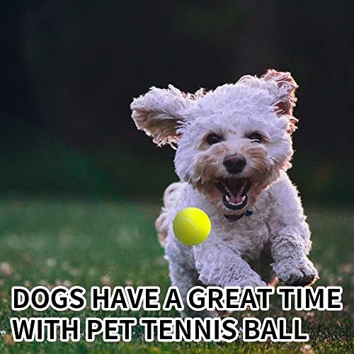ptlsy Автоматична стартера за кучешки топки с 22 Топки Интерактивна Машина за хвърляне на Кучешки топки за тенис за Кучета, Подходящ